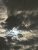 IMG_3934.jpeg