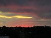 20250710_053111.jpg