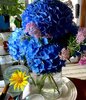IMG_2775.jpeg