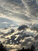 IMG_4498.jpeg