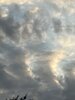 IMG_4489.jpeg