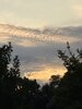 IMG_4484.jpeg